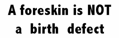 A foreskin is not a birth defect - bumper sticker